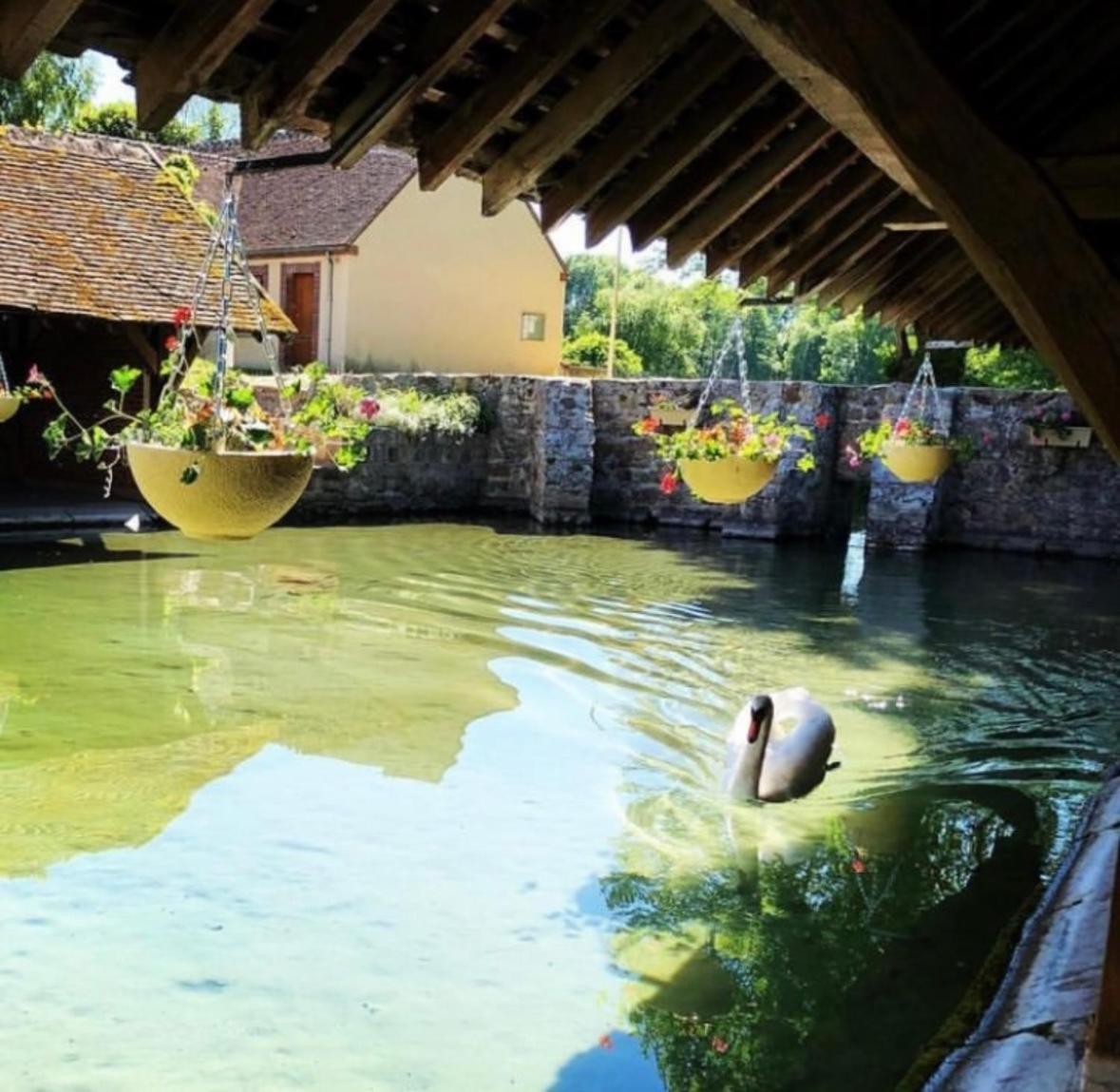 jolie maison de campagne avec piscine intérieur chauffée Fontaine-la-Gaillarde Extérieur photo